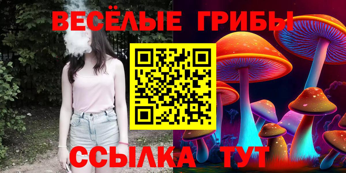 Новороссийск  Псилоцибиновые грибы Cubensis  Вход с VPN 